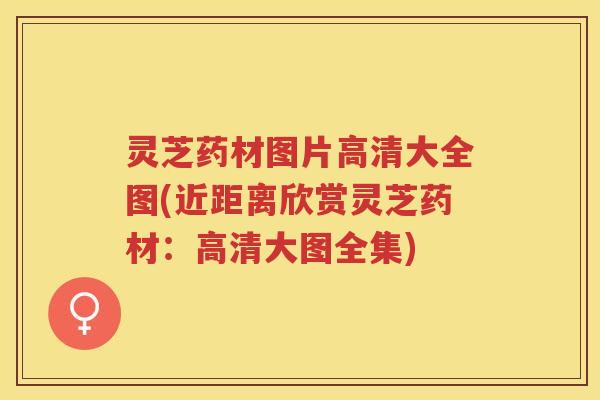 灵芝药材图片高清大全图(近距离欣赏灵芝药材：高清大图全集)