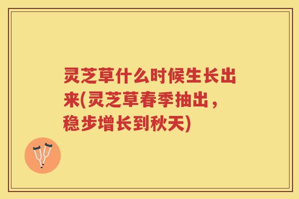 灵芝草什么时候生长出来(灵芝草春季抽出，稳步增长到秋天)