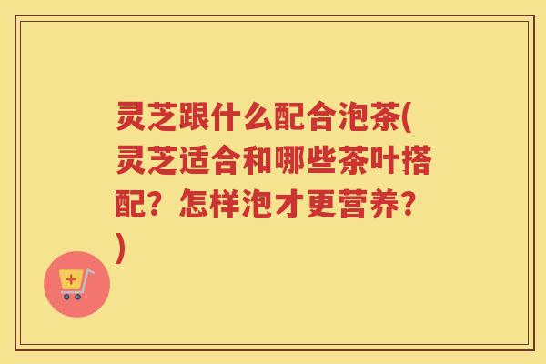 灵芝跟什么配合泡茶(灵芝适合和哪些茶叶搭配？怎样泡才更营养？)