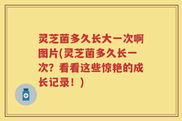 灵芝菌多久长大一次啊图片(灵芝菌多久长一次？看看这些惊艳的成长记录！)