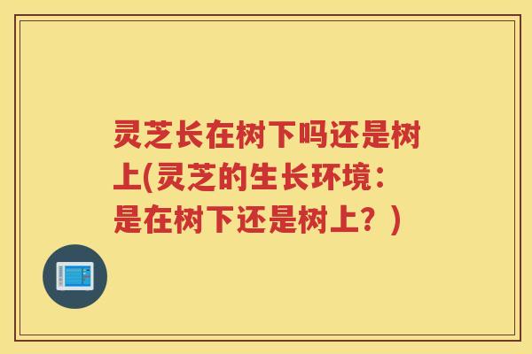 灵芝长在树下吗还是树上(灵芝的生长环境：是在树下还是树上？)