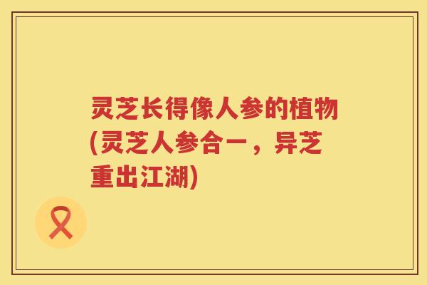 灵芝长得像人参的植物(灵芝人参合一，异芝重出江湖)