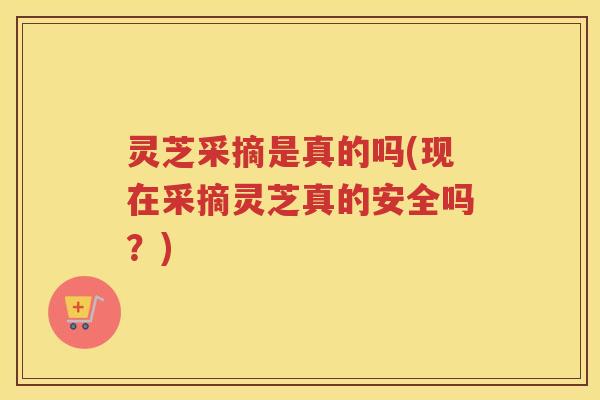 灵芝采摘是真的吗(现在采摘灵芝真的安全吗？)