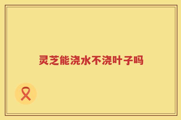 灵芝能浇水不浇叶子吗