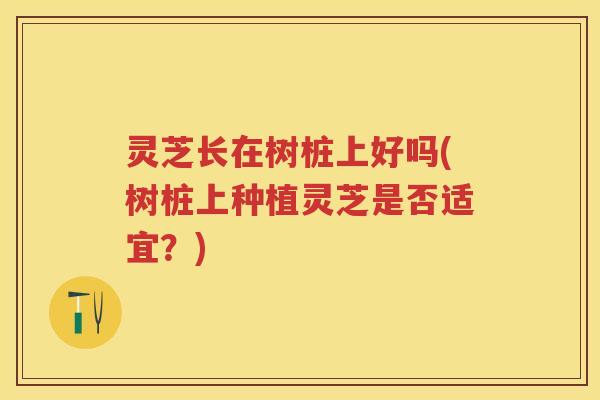 灵芝长在树桩上好吗(树桩上种植灵芝是否适宜？)