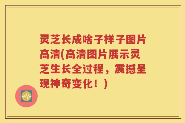 灵芝长成啥子样子图片高清(高清图片展示灵芝生长全过程，震撼呈现神奇变化！)