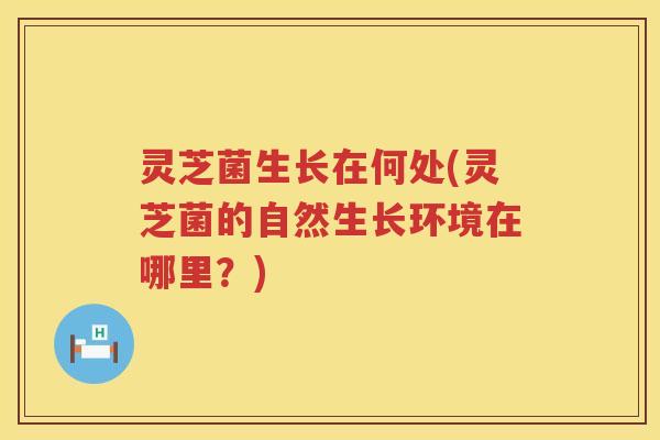 灵芝菌生长在何处(灵芝菌的自然生长环境在哪里？)