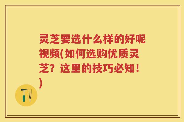 灵芝要选什么样的好呢视频(如何选购优质灵芝？这里的技巧必知！)