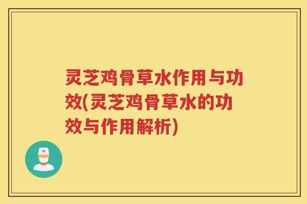 灵芝鸡骨草水作用与功效(灵芝鸡骨草水的功效与作用解析)