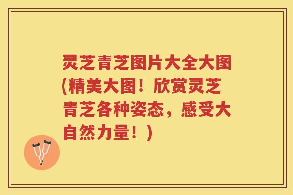 灵芝青芝图片大全大图(精美大图！欣赏灵芝青芝各种姿态，感受大自然力量！)