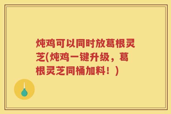 炖鸡可以同时放葛根灵芝(炖鸡一键升级，葛根灵芝同桶加料！)