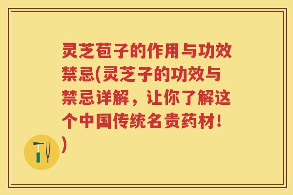 灵芝苞子的作用与功效禁忌(灵芝子的功效与禁忌详解，让你了解这个中国传统名贵药材！)