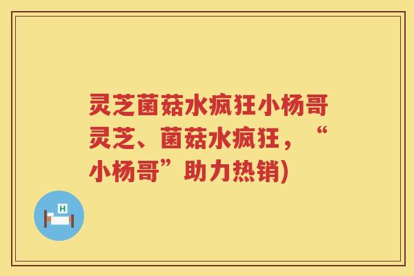 灵芝菌菇水疯狂小杨哥灵芝、菌菇水疯狂，“小杨哥”助力热销)
