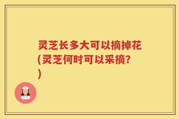 灵芝长多大可以摘掉花(灵芝何时可以采摘？)