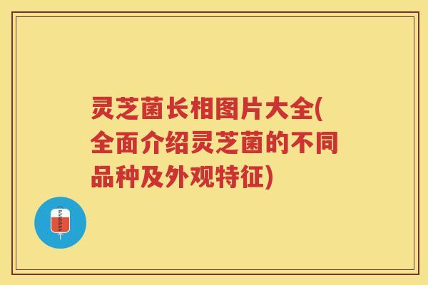 灵芝菌长相图片大全(全面介绍灵芝菌的不同品种及外观特征)
