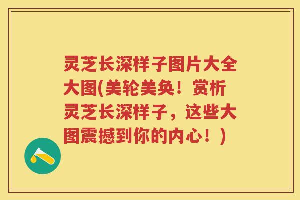 灵芝长深样子图片大全大图(美轮美奂！赏析灵芝长深样子，这些大图震撼到你的内心！)
