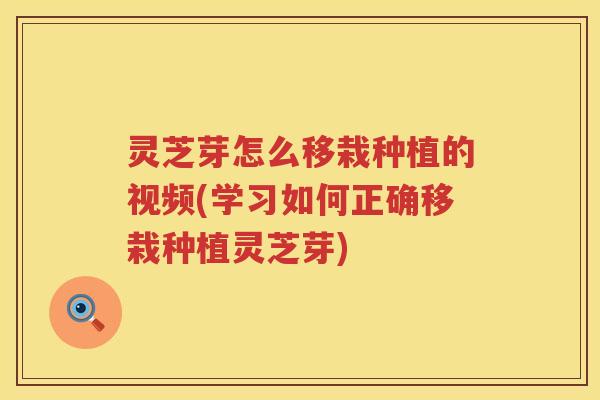灵芝芽怎么移栽种植的视频(学习如何正确移栽种植灵芝芽) 灵芝芽怎么移栽种植的视频(学习如何正确移栽种植灵芝芽)