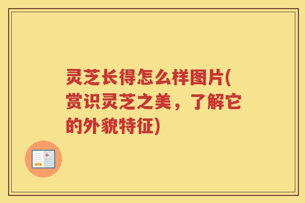 灵芝长得怎么样图片(赏识灵芝之美,了解它的外貌特征) 灵芝长得怎么样图片(赏识灵芝之美,了解它的外貌特征)