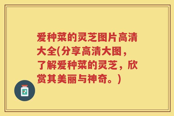 爱种菜的灵芝图片高清大全(分享高清大图，了解爱种菜的灵芝，欣赏其美丽与神奇。)