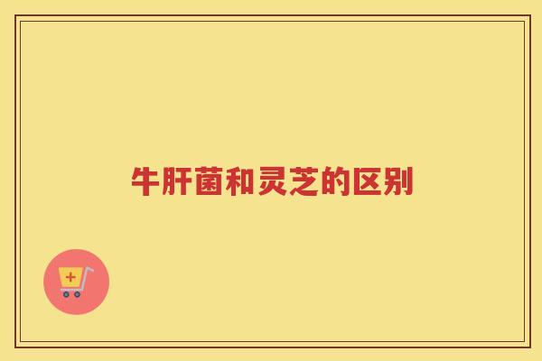 牛肝菌和灵芝的区别