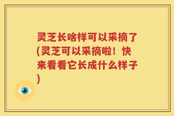 灵芝长啥样可以采摘了(灵芝可以采摘啦！快来看看它长成什么样子)