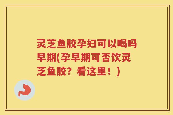 灵芝鱼胶孕妇可以喝吗早期(孕早期可否饮灵芝鱼胶？看这里！)