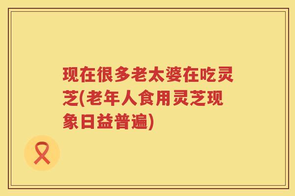 现在很多老太婆在吃灵芝(老年人食用灵芝现象日益普遍)