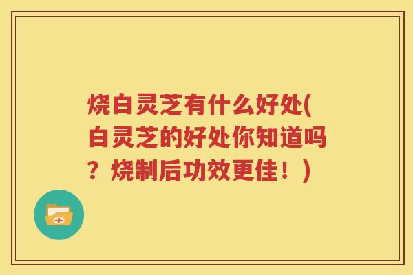 烧白灵芝有什么好处(白灵芝的好处你知道吗?烧制后功效更佳!) 烧白灵芝有什么好处(白灵芝的好处你知道吗?烧制后功效更佳!)