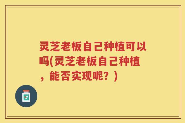 灵芝老板自己种植可以吗(灵芝老板自己种植，能否实现呢？)
