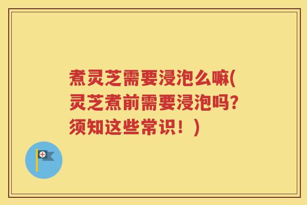 煮灵芝需要浸泡么嘛(灵芝煮前需要浸泡吗？须知这些常识！)