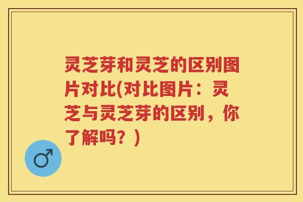 灵芝芽和灵芝的区别图片对比(对比图片:灵芝与灵芝芽的区别,你了解吗?) 灵芝芽和灵芝的区别图片对比(对比图片:灵芝与灵芝芽的区别,你了解吗?)