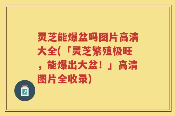 灵芝能爆盆吗图片高清大全(「灵芝繁殖极旺，能爆出大盆！」高清图片全收录)