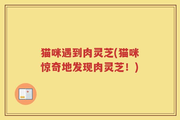 猫咪遇到肉灵芝(猫咪惊奇地发现肉灵芝！)