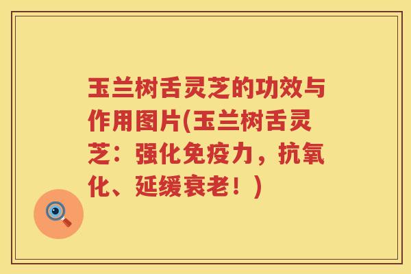玉兰树舌灵芝的功效与作用图片(玉兰树舌灵芝：强化免疫力，抗氧化、延缓衰老！)