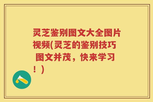 灵芝鉴别图文大全图片视频(灵芝的鉴别技巧 图文并茂，快来学习！)