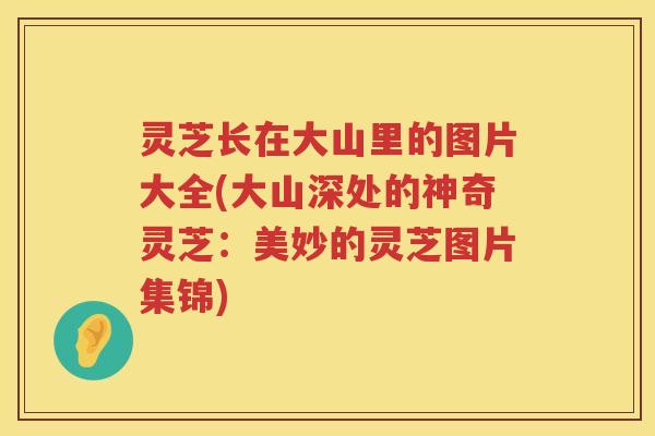 灵芝长在大山里的图片大全(大山深处的神奇灵芝:美妙的灵芝图片集锦) 灵芝长在大山里的图片大全(大山深处的神奇灵芝:美妙的灵芝图片集锦)
