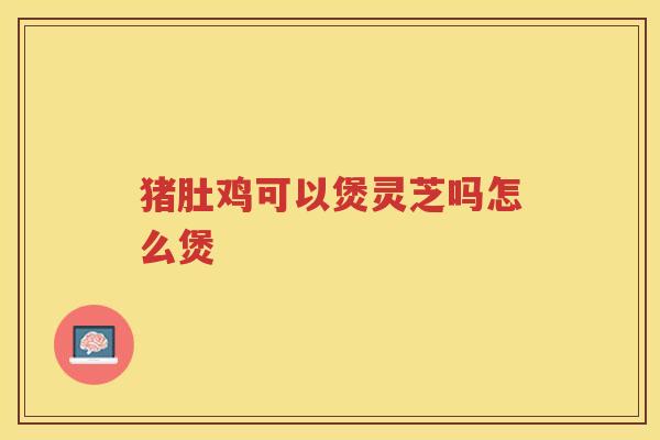 猪肚鸡可以煲灵芝吗怎么煲