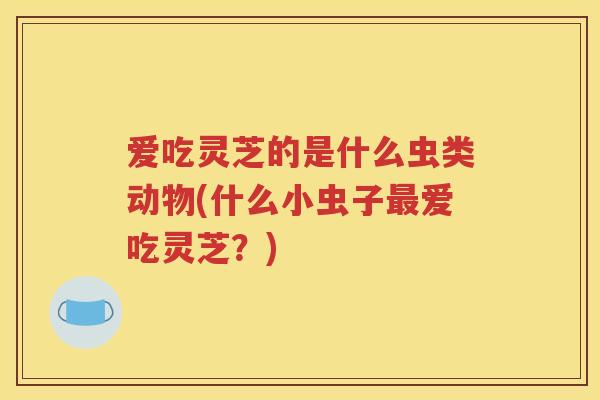 爱吃灵芝的是什么虫类动物(什么小虫子最爱吃灵芝？)