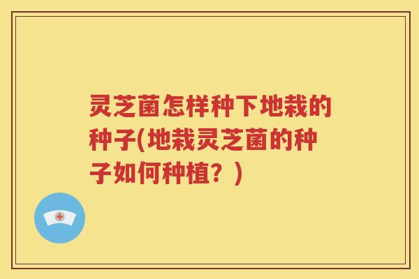 灵芝菌怎样种下地栽的种子(地栽灵芝菌的种子如何种植？)