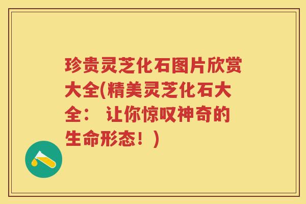 珍贵灵芝化石图片欣赏大全(精美灵芝化石大全： 让你惊叹神奇的生命形态！)