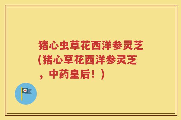 猪心虫草花西洋参灵芝(猪心草花西洋参灵芝，中药皇后！)