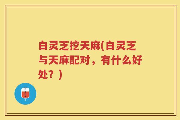 白灵芝挖天麻(白灵芝与天麻配对，有什么好处？)