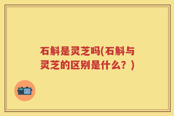 石斛是灵芝吗(石斛与灵芝的区别是什么？)
