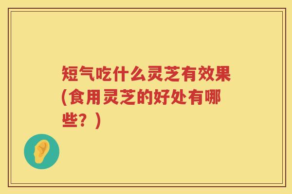 短气吃什么灵芝有效果(食用灵芝的好处有哪些？)