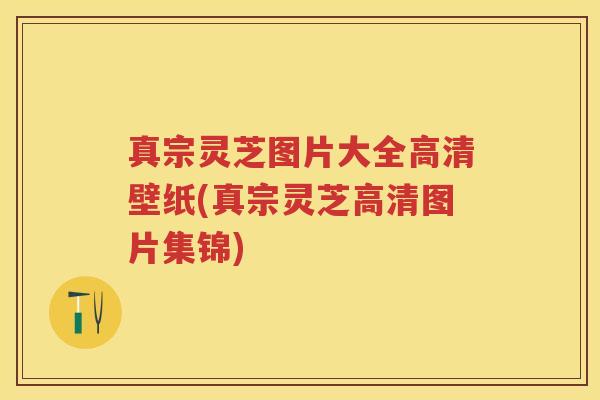 真宗灵芝图片大全高清壁纸(真宗灵芝高清图片集锦)