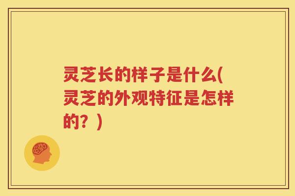 灵芝长的样子是什么(灵芝的外观特征是怎样的？)