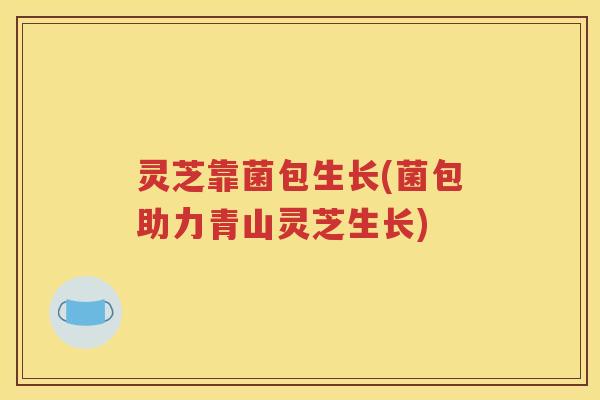 灵芝靠菌包生长(菌包助力青山灵芝生长)
