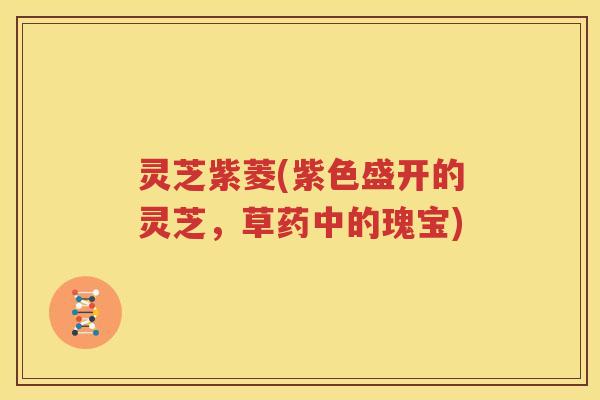 灵芝紫菱(紫色盛开的灵芝，草药中的瑰宝)