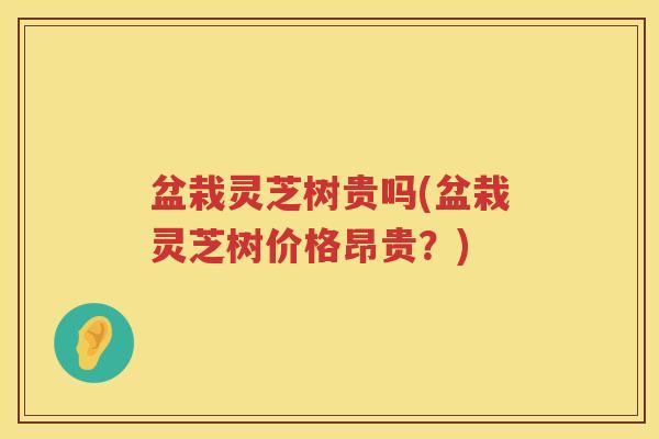 盆栽灵芝树贵吗(盆栽灵芝树价格昂贵？)