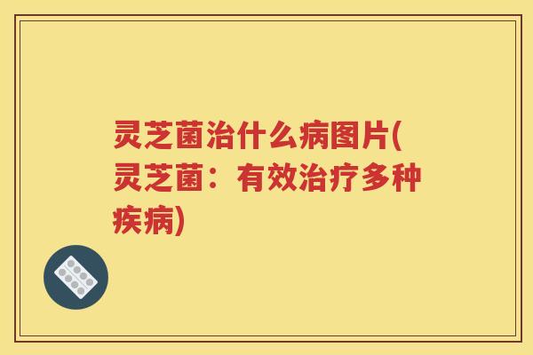 灵芝菌什么图片(灵芝菌:有效多种) 灵芝菌什么图片(灵芝菌:有效多种)